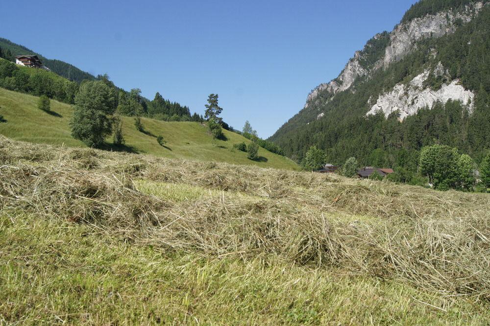 Zeffererhof Daire Schladming Dış mekan fotoğraf